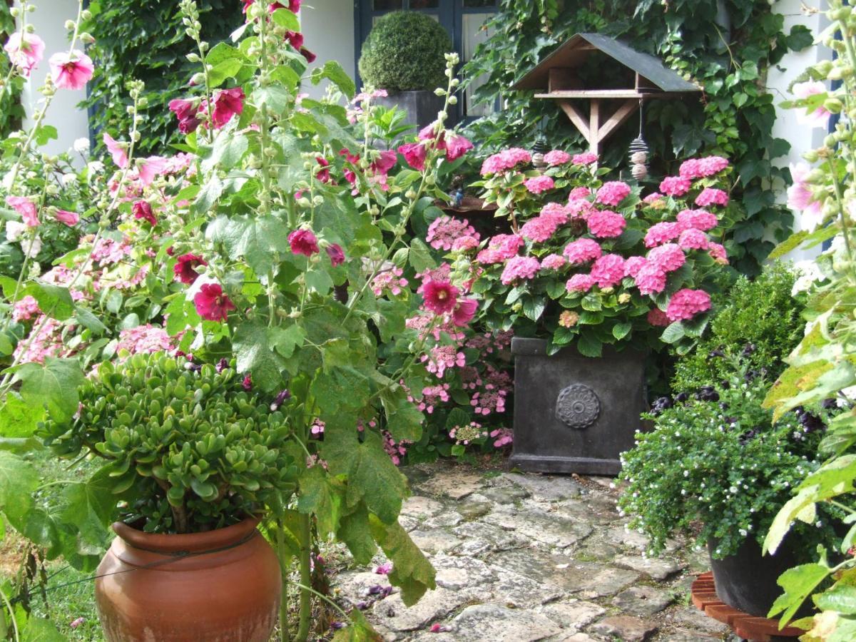 Les Glycines Bed & Breakfast Ury Екстериор снимка