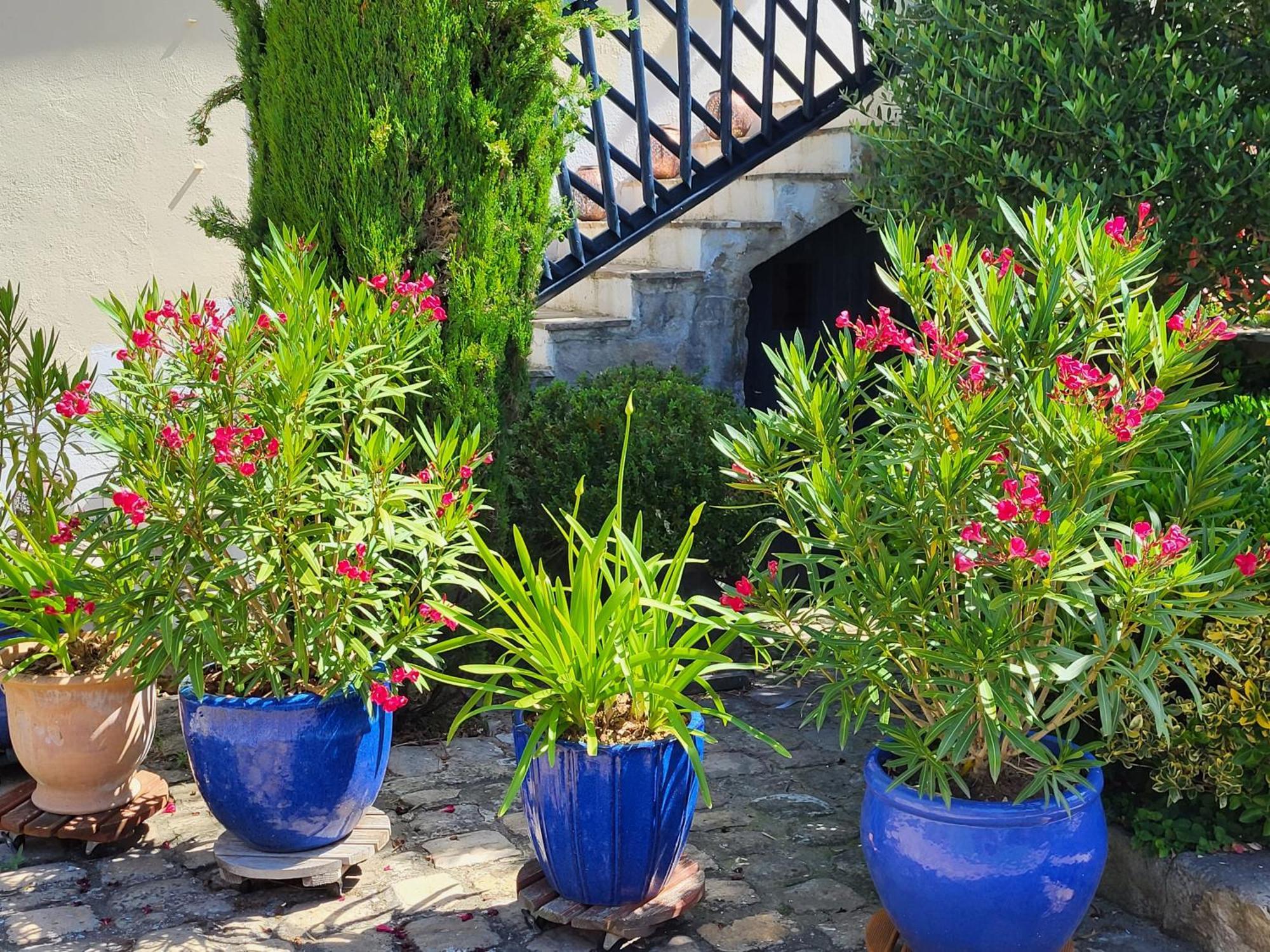 Les Glycines Bed & Breakfast Ury Екстериор снимка