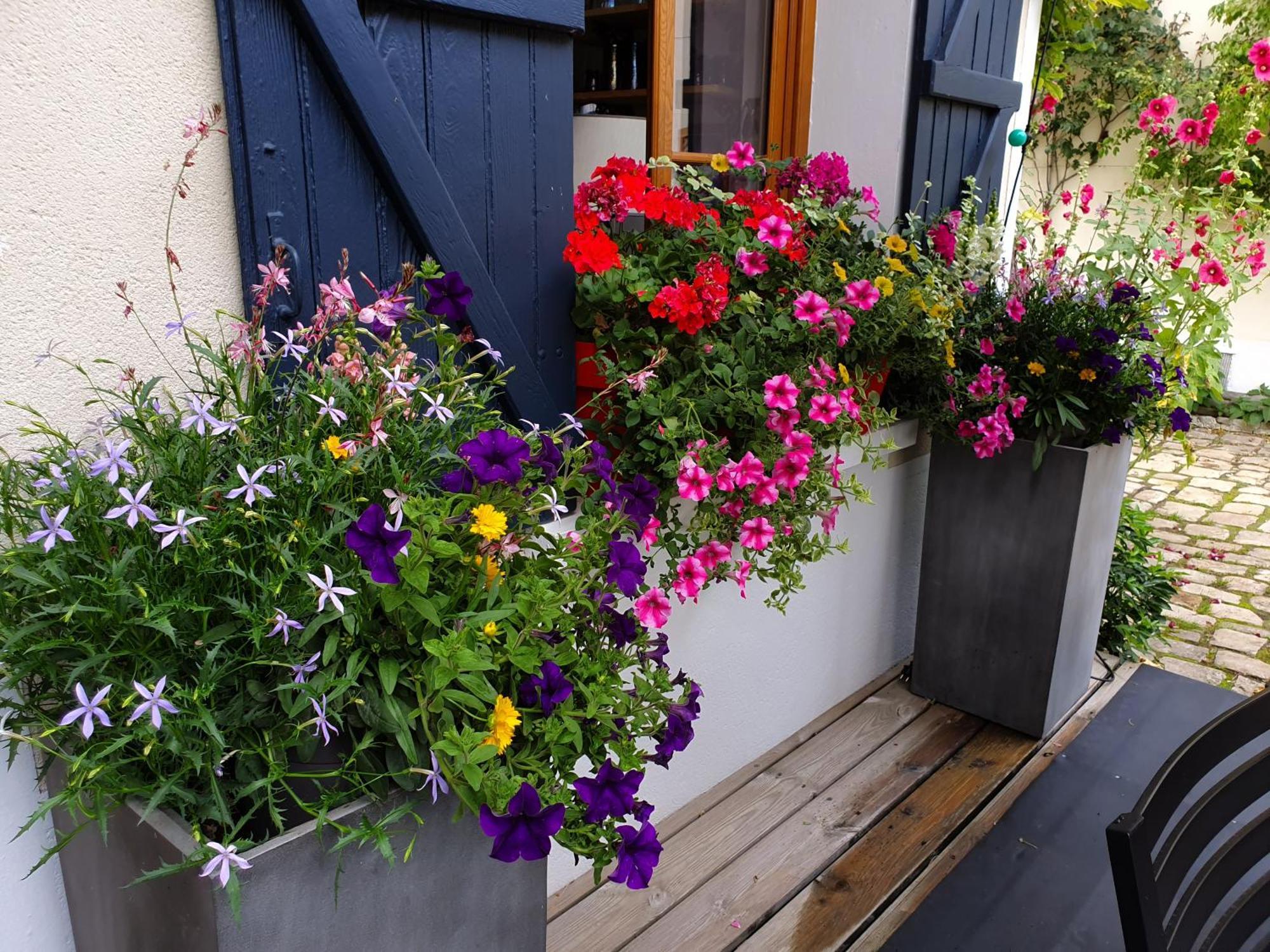 Les Glycines Bed & Breakfast Ury Екстериор снимка