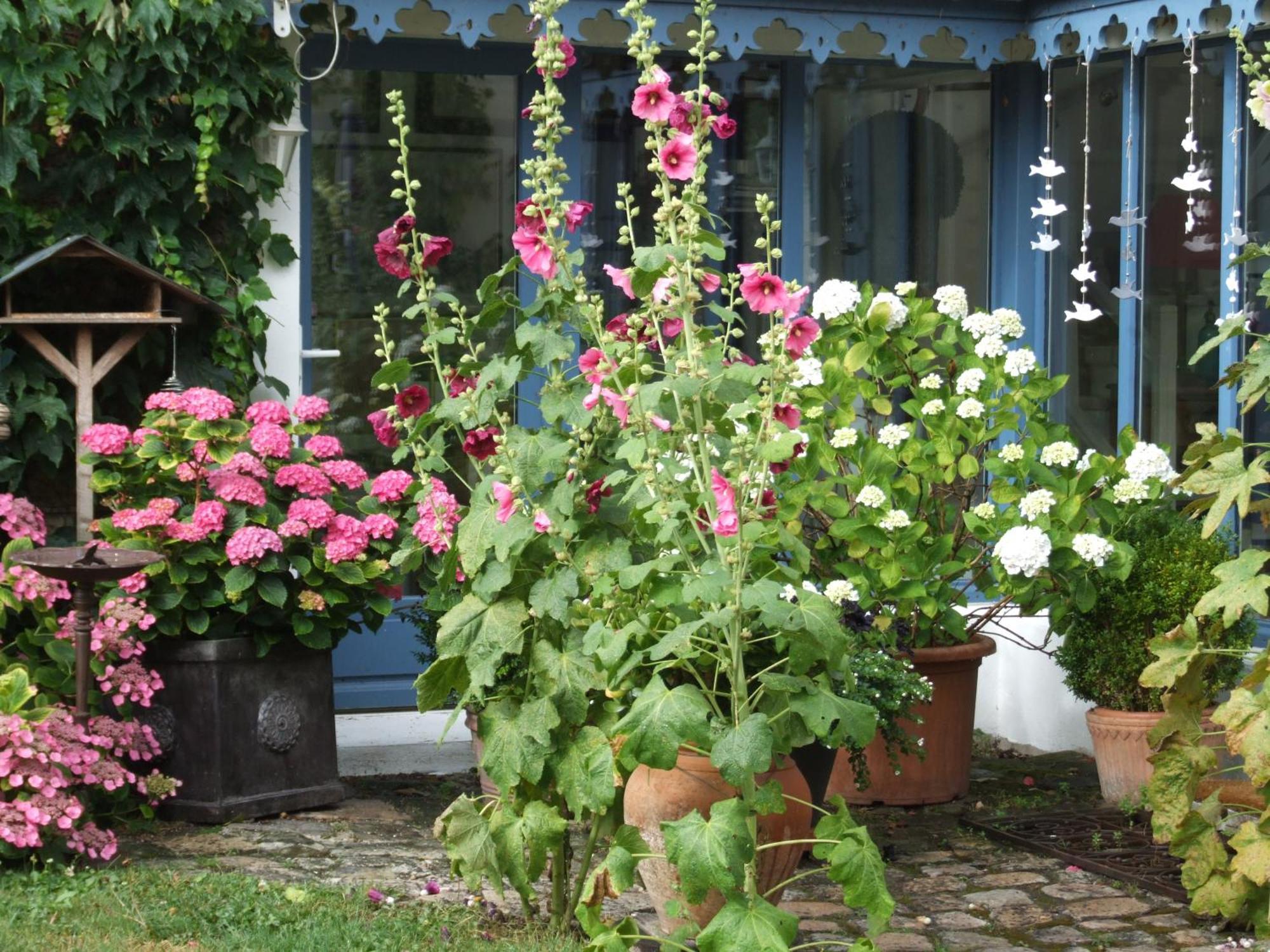 Les Glycines Bed & Breakfast Ury Екстериор снимка